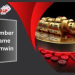 Number Game Gemwin